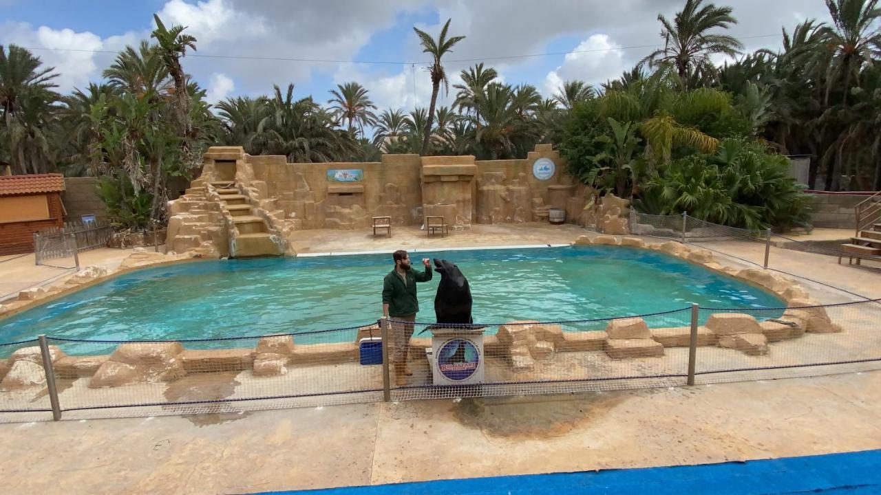 Apartamentos Yanina Gran Alacant Santa Pola Dış mekan fotoğraf