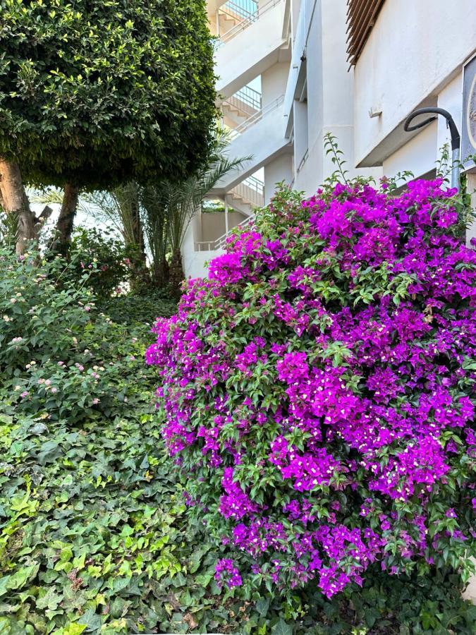 Apartamentos Yanina Gran Alacant Santa Pola Dış mekan fotoğraf