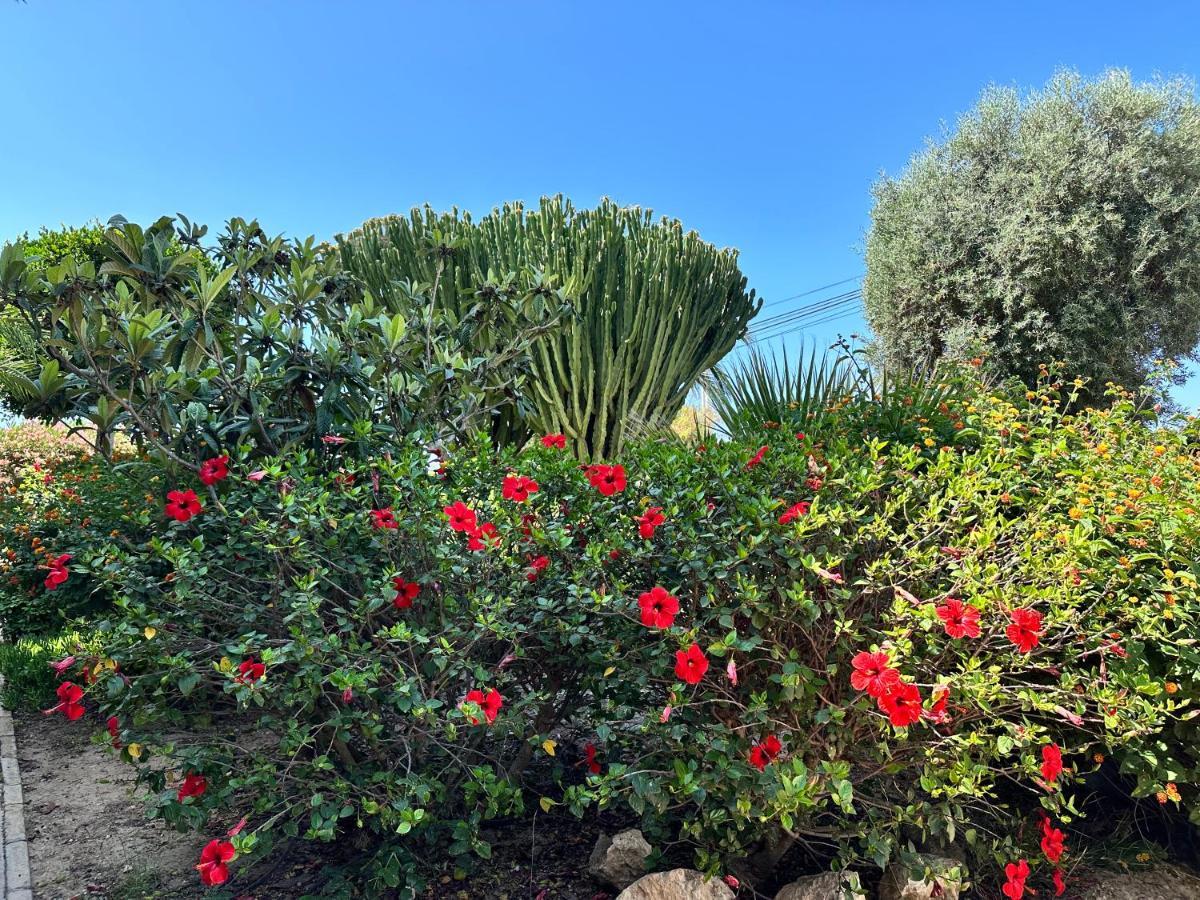 Apartamentos Yanina Gran Alacant Santa Pola Dış mekan fotoğraf